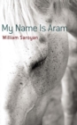 Image for My name is Aram