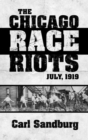 Image for Chicago Race Riots: July, 1919