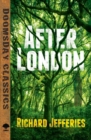 Image for After London