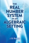 Image for Real Number System in an Algebraic Setting
