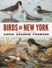 Image for Birds of New York : Over 100 Plates