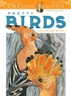 Image for Creative Haven Pretty Birds Coloring Book