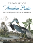 Image for Treasury of Audubon Birds : 130 Plates from the Birds of America