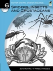 Image for Spiders, insects and crustaceans