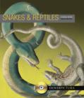 Image for Snakes and reptiles