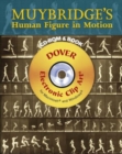 Image for Muybridge&#39;s Human Figure in Motion