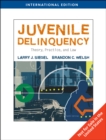 Image for Juvenile delinquency  : theory, practice, and law