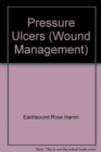 Image for Wound Management: Pressure Ulcers (CD)