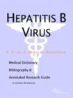 Image for Hepatitis B Virus - A Medical Dictionary, Bibliography, and Annotated Research Guide to Internet References