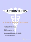 Image for Labyrinthitis - A Medical Dictionary, Bibliography, and Annotated Research Guide to Internet References
