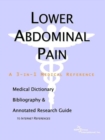 Image for Lower Abdominal Pain - A Medical Dictionary, Bibliography, and Annotated Research Guide to Internet References