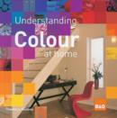Image for Understanding Colour at Home