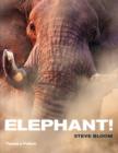 Image for Elephant!