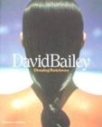 Image for David Bailey  : chasing rainbows