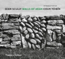 Image for Sean Scully - walls of Aran