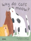 Image for Why do cats meow?  : curious questions about your favourite pet