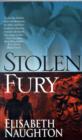Image for Stolen Fury