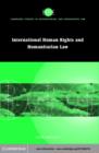Image for International human rights and humanitarian law