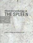 Image for Illustrated pathology of the spleen
