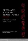 Image for Fetal and neonatal brain injury: mechanisms, management, and the risks of practice