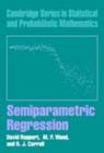 Image for Semiparametric regression