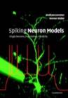 Image for Spiking neuron models: single neurons, populations, plasticity