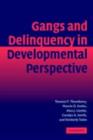 Image for Gangs and delinquency in developmental perspective