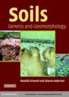 Image for Soils: genesis and geomorphology