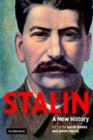 Image for Stalin: a new history