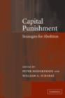 Image for Capital punishment: strategies for abolition