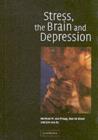 Image for Stress, the brain and depression