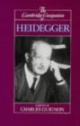 Image for The Cambridge companion to Heidegger