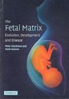 Image for The fetal matrix: evolution, development, and disease