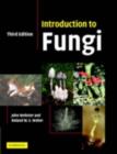 Image for Introduction to fungi
