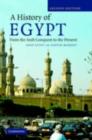 Image for A history of Egypt: from the Arab conquest to the present