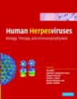 Image for Human herpesviruses: biology, therapy and immunoprophylaxis