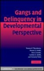 Image for Gangs and delinquency in developmental perspective [electronic resource] /  Terence P. Thornberry ... [et al.]. 