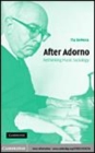 Image for After Adorno [electronic resource] :  rethinking music sociology /  Tia DeNora. 