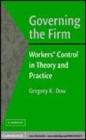 Image for Governing the firm [electronic resource] :  workers&#39; control in theory and practice /  Gregory K. Dow. 