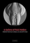Image for A gallery of fluid motion [electronic resource] /  M. Samimy ... [et al.]. 
