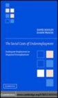 Image for The social costs of underemployment [electronic resource] :  inadequate employment as disguised unemployment /  David Dooley, JoAnn Prause. 