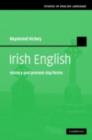 Image for Irish English: history and present-day forms
