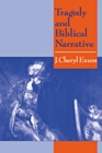 Image for Tragedy and biblical narrative.