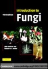 Image for Introduction to fungi [electronic resource] /  John Webster and Roland Weber. 