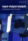 Image for Input-output analysis: foundations and extensions