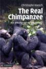 Image for The real Chimpanzee: sex strategies in the forest