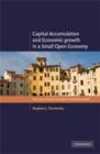 Image for Capital accumulation and economic growth in a small open economy