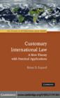 Image for Customary international law: a new theory with practical applications