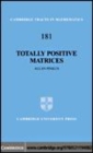 Image for Totally positive matrices [electronic resource] /  by Allan Pinkus.  : 181