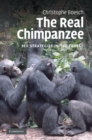 Image for Real Chimpanzee: Sex Strategies in the Forest